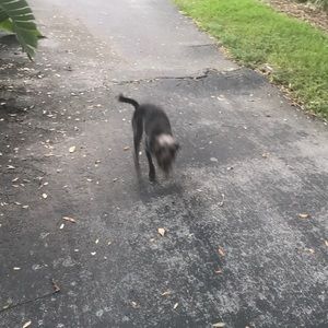 Meet your Posher, Tora